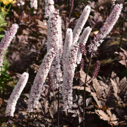 Świecznica 'Pink Spike' (p9)