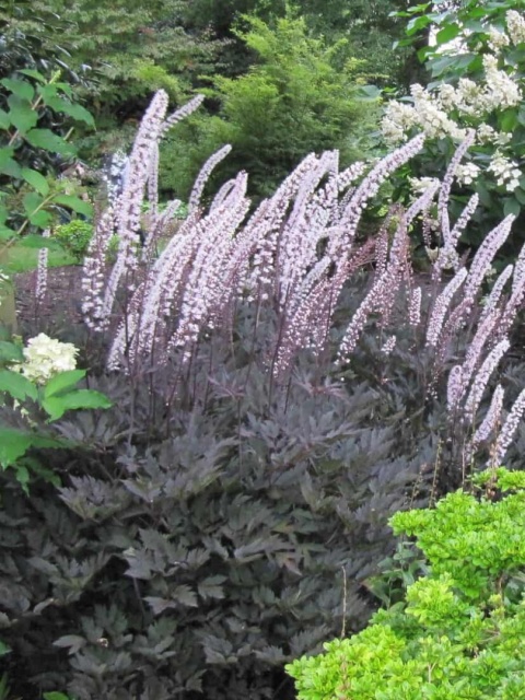 Świecznica 'Pink Spike' (L)