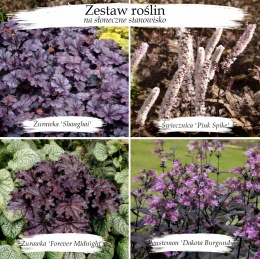 Zestaw fioletowy na słońce (W)