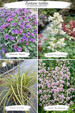 Zestaw na stanowiska półcieniste (W)