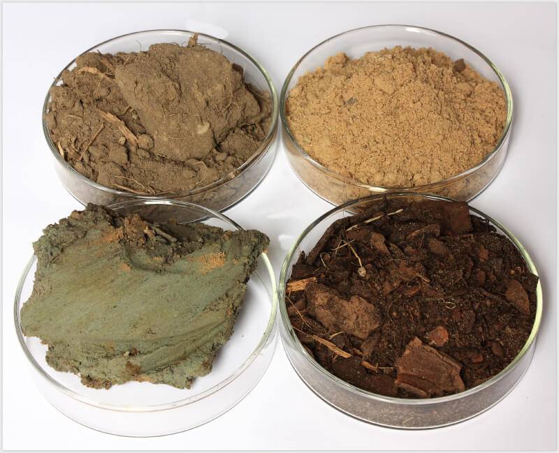 Gleba i jej rodzaje Szkółka Roślin Posadzone